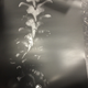 Illustration for article titled iMortal Kombat X/i (Most Likely) Confirmed